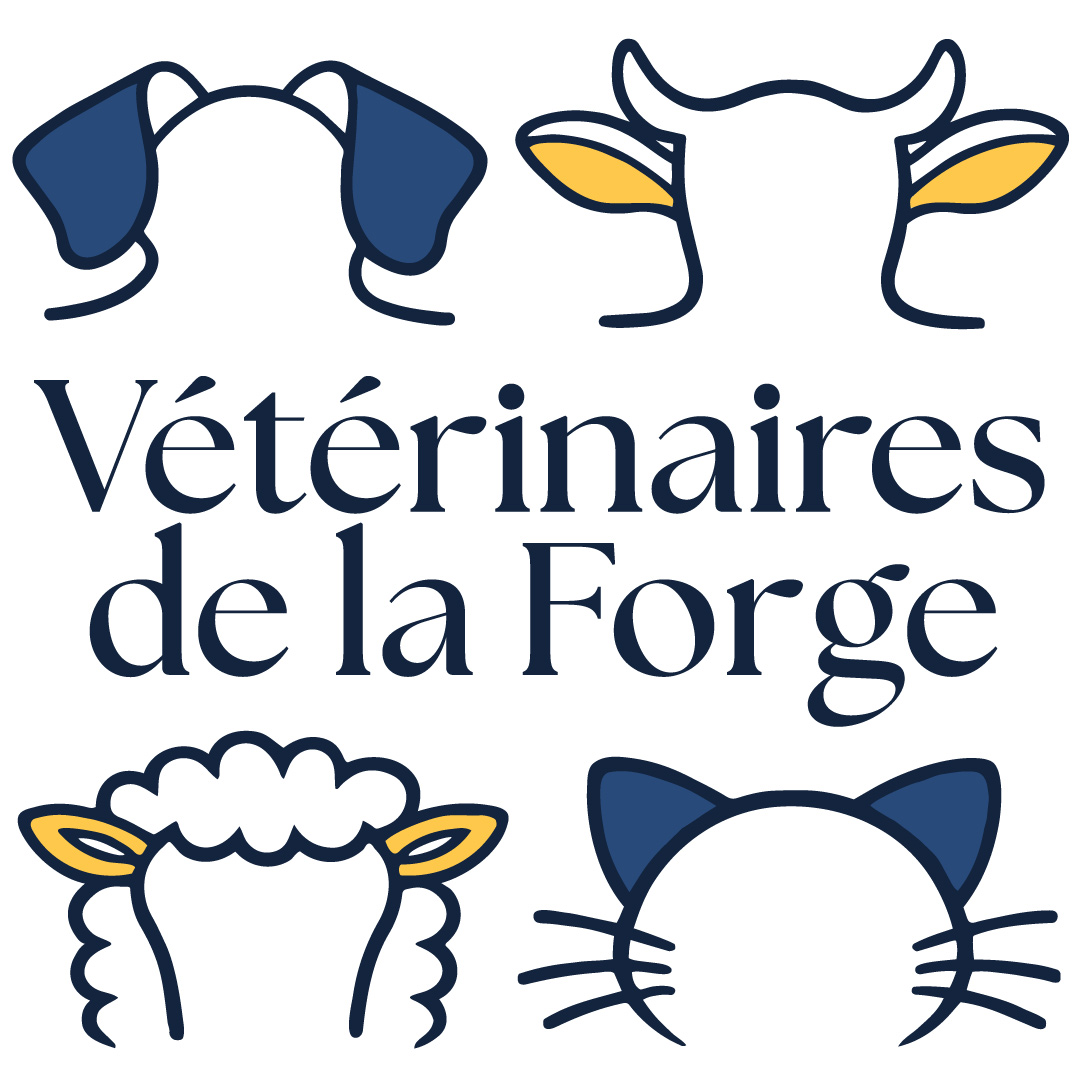 Image clinique